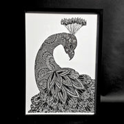 proud peacock black and white drawing print