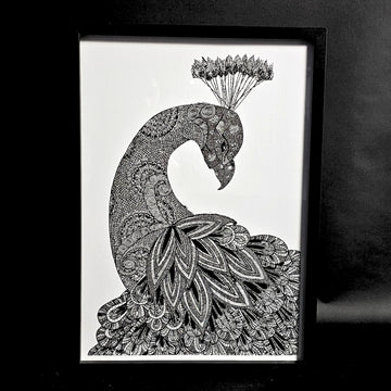proud peacock black and white drawing print