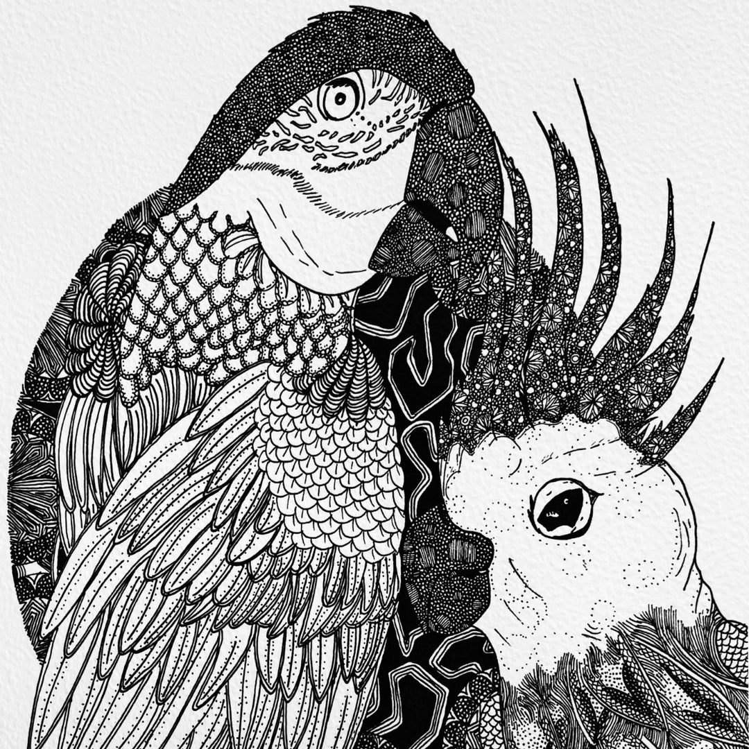 intricate birds black and white art