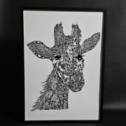 black and white giraffe