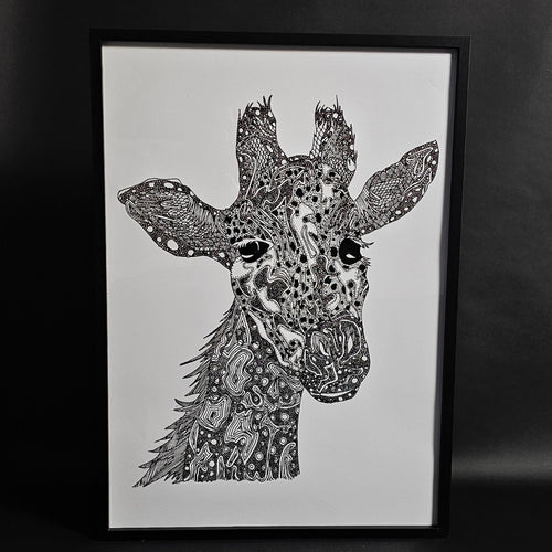 black and white giraffe